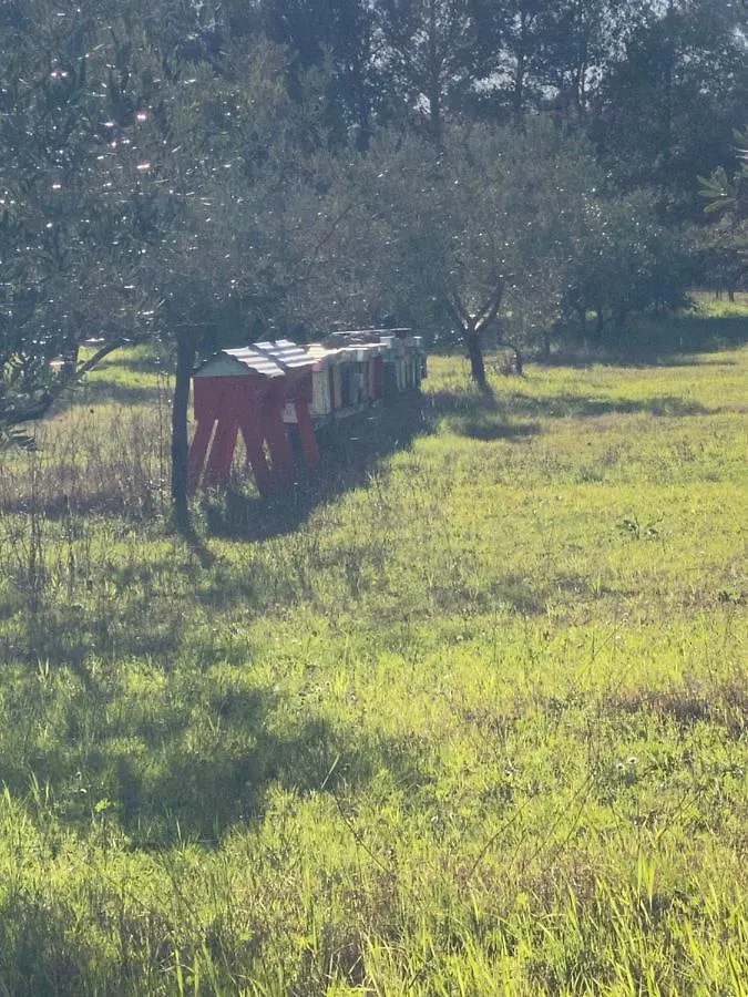 Agriturismo Le Biricoccole Vada