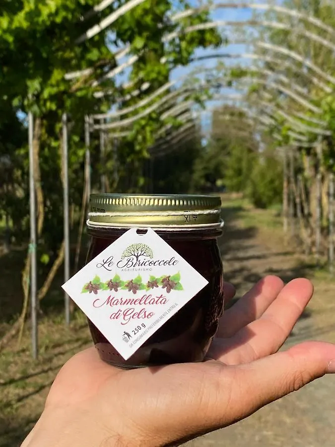 Agriturismo Le Biricoccole Vada 0*,